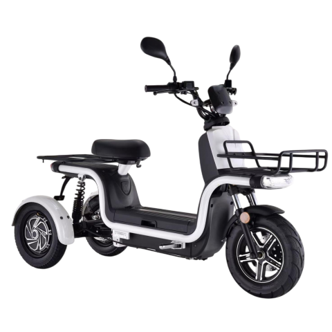 Scooter elettrici 800W