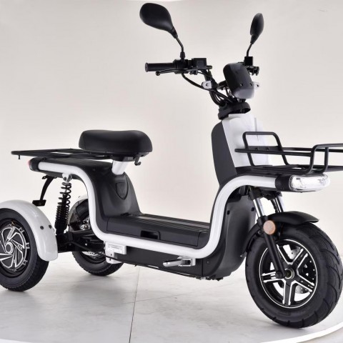 Scooter elettrici 800W