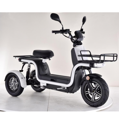 Scooter elettrici 800W