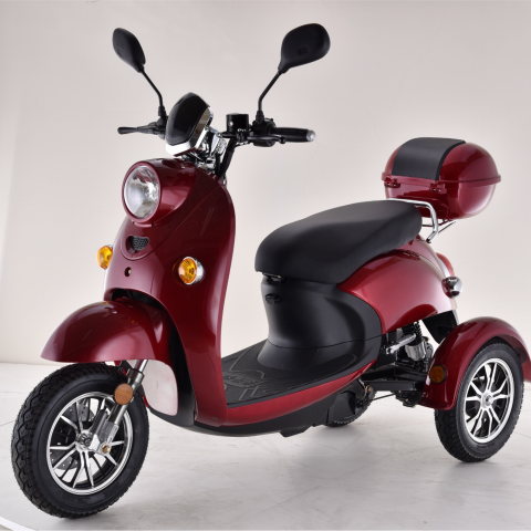 scooter elettrico 650w