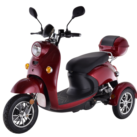 TRISCOOT 650w